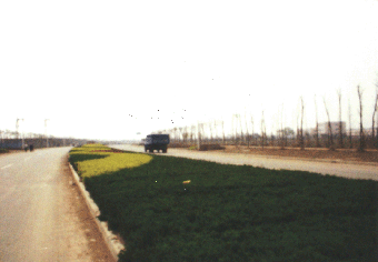 (xing)Ŀ1