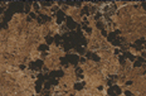 y(tng)ϵ(AL-s038)