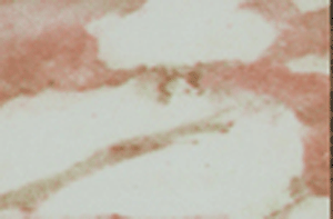 y(tng)ϵ(AL-s042)