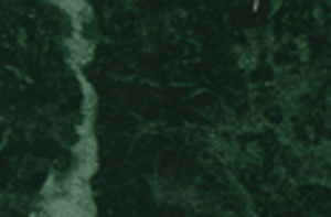 y(tng)ϵ(AL-s043)