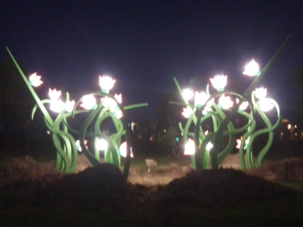 LED^СƷ
